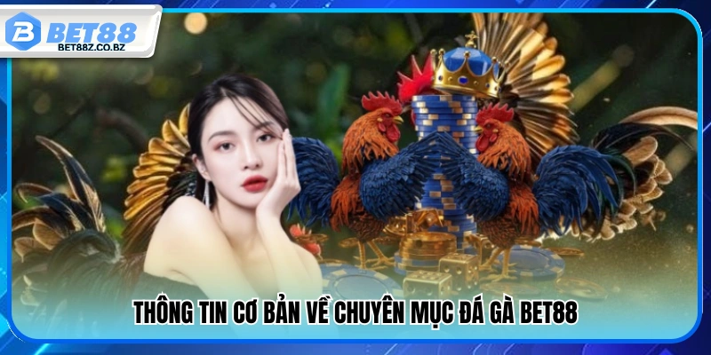 Đá Gà Bet88 – Xem Trực Tiếp Cực Đỉnh Kèo Chuẩn Từng Giây 1 Bao quát chung về sảnh đá gà Bet88