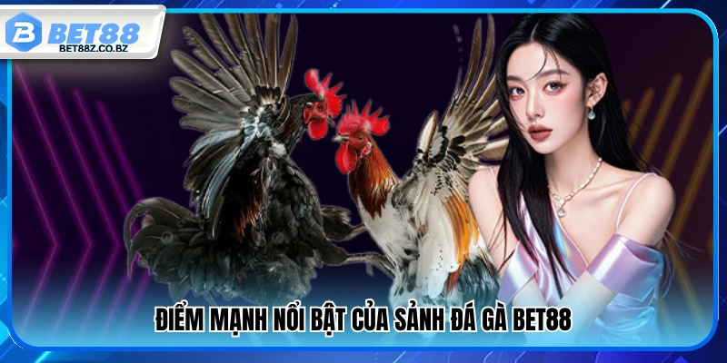 Đá Gà Bet88 – Xem Trực Tiếp Cực Đỉnh Kèo Chuẩn Từng Giây 3 Ưu thế khi tham gia sảnh đá gà Bet88
